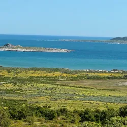 Postberg Nature Reserve - Stilbaai (Still Bay)