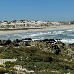 Postberg Nature Reserve - Stilbaai (Still Bay)