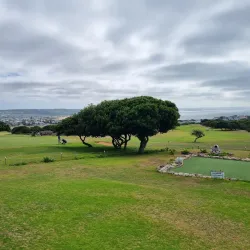 Stilbaai Golf Course - Stilbaai (Still Bay)