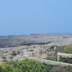 Stilbaai Harbour - Stilbaai (Still Bay)