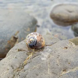 Stilbaai Hiking Trails - Stilbaai (Still Bay)