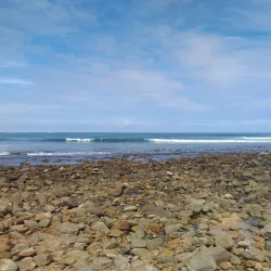 Stilbaai Hiking Trails - Stilbaai (Still Bay)