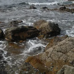 Stilbaai Hiking Trails - Stilbaai (Still Bay)