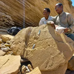 Stilbaai Museum - Stilbaai (Still Bay)