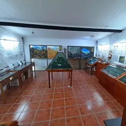 Stilbaai Whale Watching - Stilbaai (Still Bay)