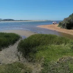 Stilbaai Whale Watching - Stilbaai (Still Bay)