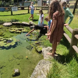 Stilbaai Whale Watching - Stilbaai (Still Bay)