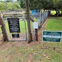 Stilbaai Whale Watching - Stilbaai (Still Bay)