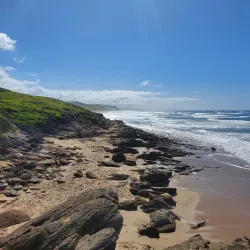 Stilbaai Whale Watching - Stilbaai (Still Bay)