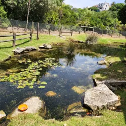 Stilbaai Whale Watching - Stilbaai (Still Bay)