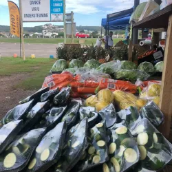 The Stilbaai Market - Stilbaai (Still Bay)