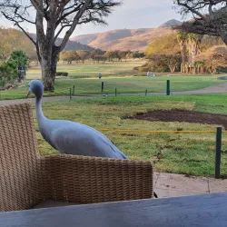 Gary Player Golf Course - Sun City