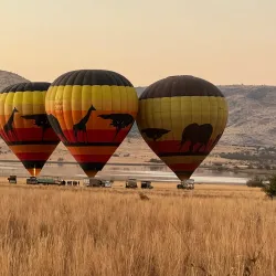Pilanesberg National Park - Sun City