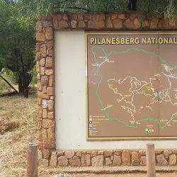 Pilanesberg National Park - Sun City