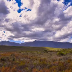 Bontebok National Park - Swellendam