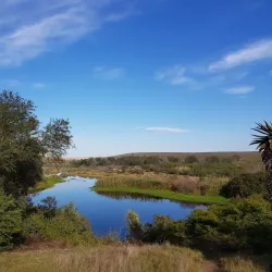 Bontebok National Park - Swellendam
