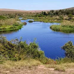 Bontebok National Park - Swellendam