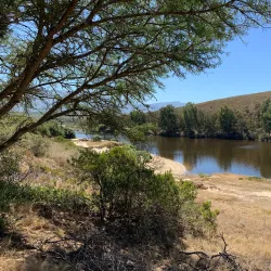 Bontebok National Park - Swellendam