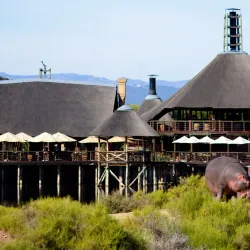 Buffelsdrift Game Lodge - Swellendam