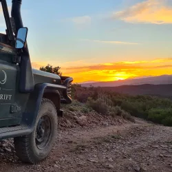 Buffelsdrift Game Lodge - Swellendam