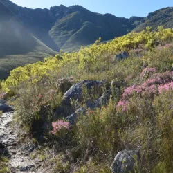 Marloth Nature Reserve - Swellendam