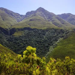 Marloth Nature Reserve - Swellendam