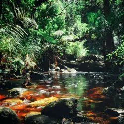 Marloth Nature Reserve - Swellendam