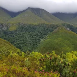 Marloth Nature Reserve - Swellendam
