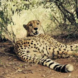 Bird Watching Sites - Thabazimbi