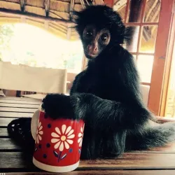 Bird Watching Sites - Thabazimbi