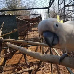 Bird Watching Sites - Thabazimbi