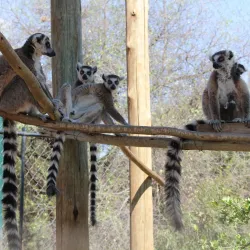 Bird Watching Sites - Thabazimbi