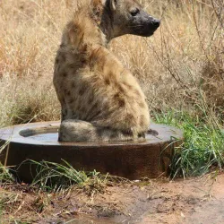 Bird Watching Sites - Thabazimbi