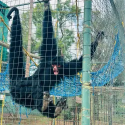 Bird Watching Sites - Thabazimbi