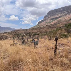 Marakele National Park - Thabazimbi