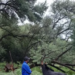 Thabazimbi Golf Club - Thabazimbi