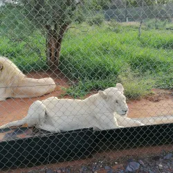 Thabazimbi Nature Reserve - Thabazimbi