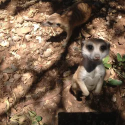 Thabazimbi Nature Reserve - Thabazimbi