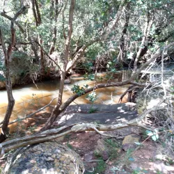 Waterberg Mountains Hiking Trails - Thabazimbi