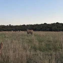 Waterberg Mountains Hiking Trails - Thabazimbi