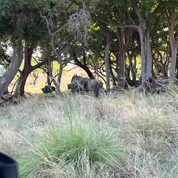 Waterberg Mountains Hiking Trails - Thabazimbi