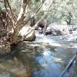 Waterberg Mountains Hiking Trails - Thabazimbi