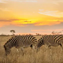 Kruger National Park (Southern Entrance) - Thohoyandou