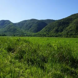 Lake Fundudzi - Thohoyandou