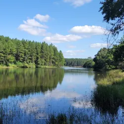 Tshakhuma Game Reserve - Thohoyandou