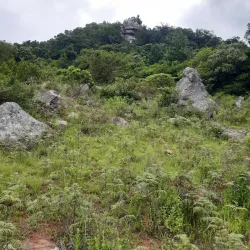 Vhembe Biosphere Reserve - Thohoyandou