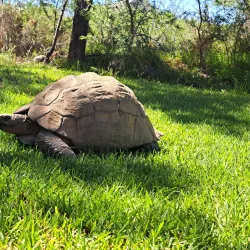 Karoo National Park - Touws River