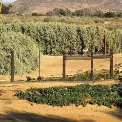 Touws River Dam - Touws River