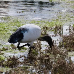 Touws River Golf Course - Touws River