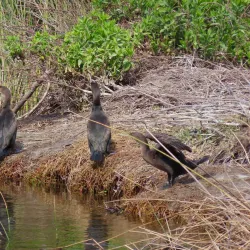 Touws River Golf Course - Touws River